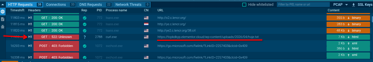 anyrun_connections